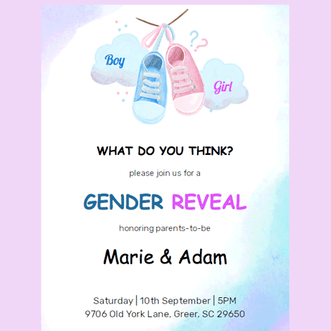 Baby Gender Reveal Party